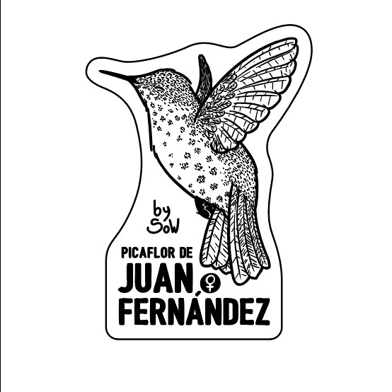 Picaflor de Juan Fernández (Hembra) by SOW