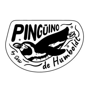 Pingüino de Humboldt by SOW