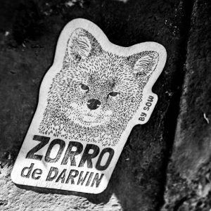 Zorro de Darwin by SOW - Imagen 2
