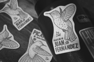 Picaflor de Juan Fernández (Hembra) by SOW - Imagen 2