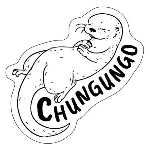 Chungungo by SOW